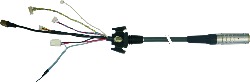 5CAMPH.0150-10