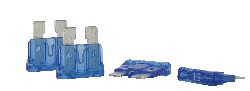 8CXS002.0002-00